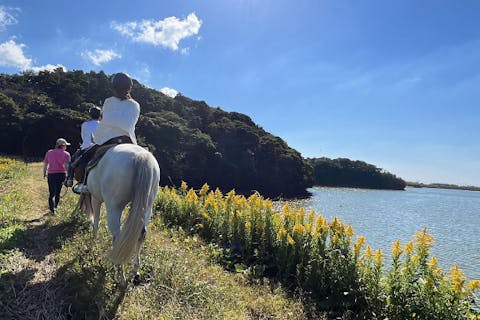 【ミニ遠乗りプラン】ひとりで馬に乗ってお散歩体験