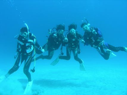 【経験者のみ・2ビーチ】日帰り可能な初島で、ビーチファンダイビング！