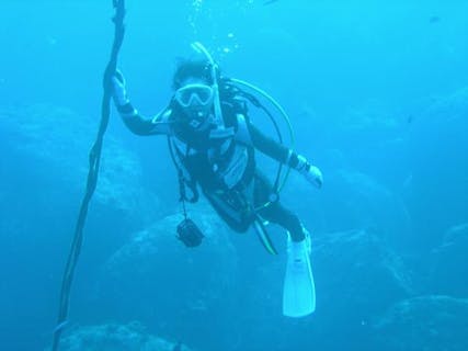 【静岡県・熱海・スキューバダイビング】国内最大級の沈没船！ボートファンダイビング♪