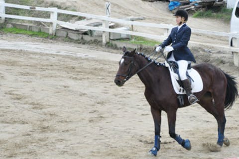 関西で乗馬体験なら アソビュー 関西乗馬クラブ比較サイト