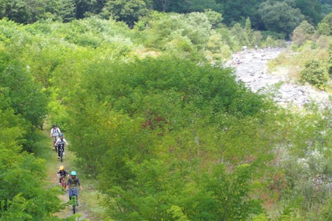 【半日・MTB】お子様でも安心！！白馬初心者オフロードサイクリングプラン