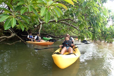 【1歳～OK】【沖縄・東海岸・マングローブカヤック】★1グループ完全貸切スタイル★気分はジャングルクルーズ！