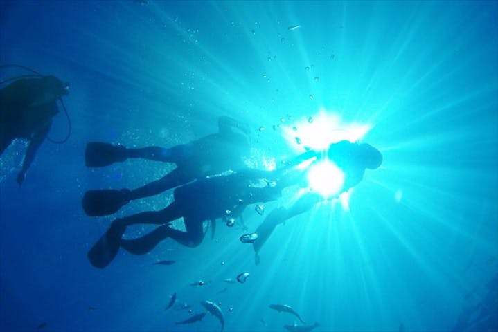 マナエンジョイダイビング