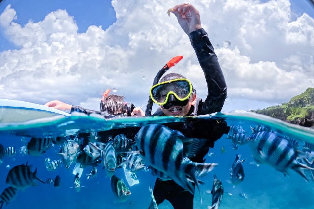 【1組専属ガイド】接客重視の完全貸切シュノーケル｜青の洞窟【人数割りでさらに得】