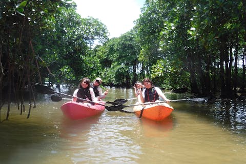 【沖縄・金武町億首川・マングローブカヤック】2歳からOK！沖縄の自然を体感しよう！旅の思い出　写真&動画データプレゼント♪