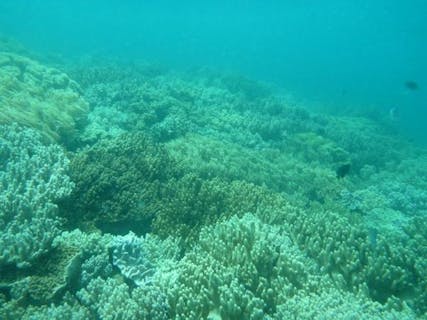 【体験ダイビング・Aプラン】少人数制！本格的にダイビングが楽しめるプラン！★写真プレゼント