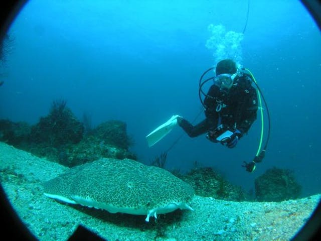 アトリエラウト