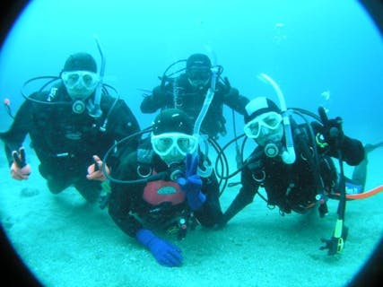 【経験者のみ・2ボート】沈没船が眠る熱海でボートファンダイビング！