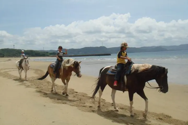 シービューランチ ネット予約ならアソビュー