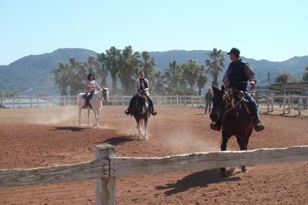 【長崎・平戸・乗馬体験】乗馬の基礎から学べる！馬を自由に操ろう！