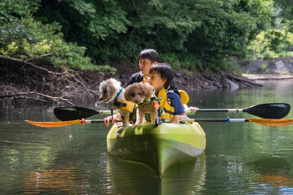 群馬・みなかみ・愛犬と湖上カヌー体験】わんちゃんと楽しむカヌー