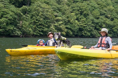 群馬・みなかみ・愛犬と湖上カヌー体験】わんちゃんと楽しむカヌー