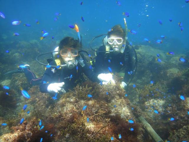 ダイブショップ宝島