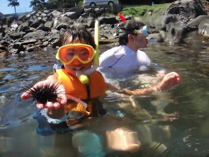 【伊豆・スノーケリング】海のなかまと一緒に遊ぼう！気軽に楽しむスノーケリングプラン！