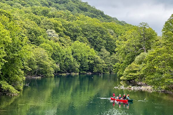 北海道・カヌー】ネイチャークルージング｜アソビュー！