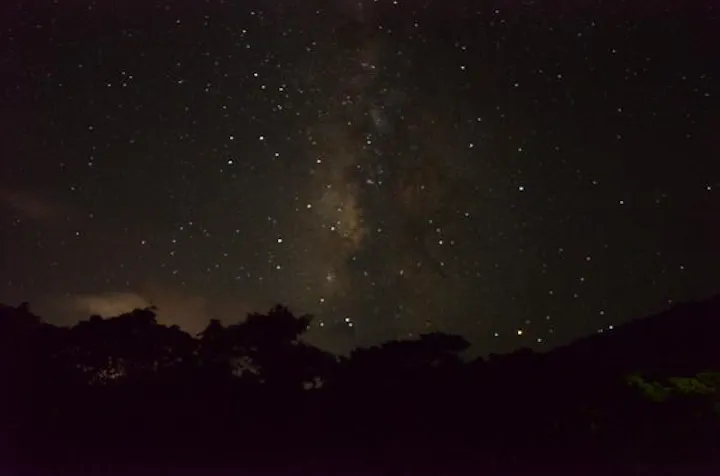 ナイトプラン 月明かりを頼りに 夜の安房川をカヤックですすもう アソビュー