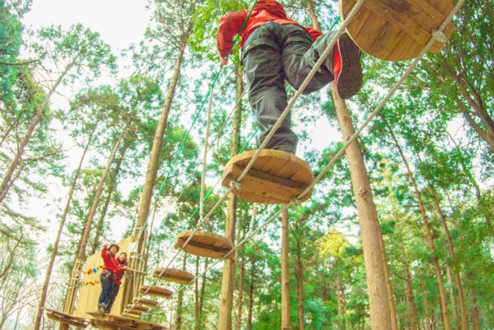 フォレストアドベンチャー 千葉 ネット予約ならアソビュー