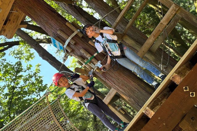 【神奈川・箱根・アスレチック】＜キャノピーコース（Canopy course）＞小さいお子様がいるご家族や、短時間で楽しみたい方におすすめ！（約60分）
