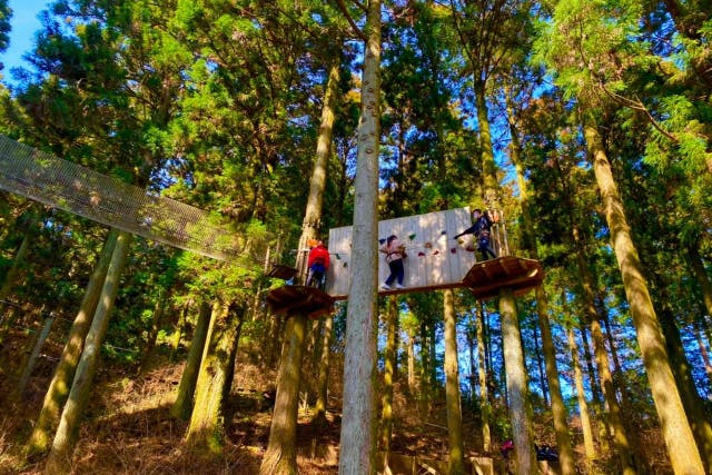 福岡・白糸の滝から車で約15分・フォレストアドベンチャー （キャノピーコース・九州初・高さ約8m）