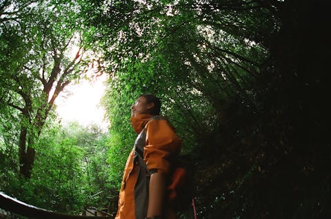 【屋久島・1日白谷雲水峡】もののけの森を抜け太鼓岩へ！白谷雲水峡プラン★団体割引あり