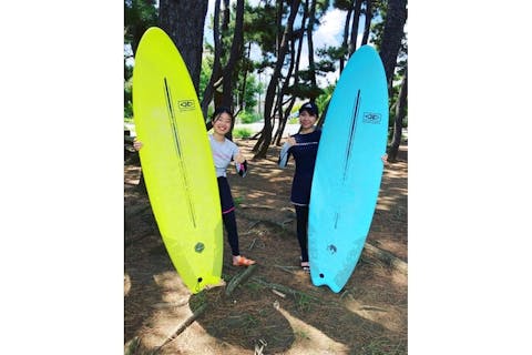 プルメリアサーフボード プルメリア サーフデザイン【アソビュー！】