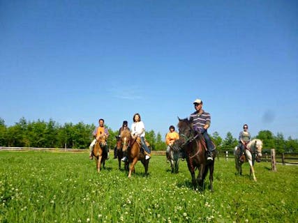 北海道 乗馬 乗馬体験 乗馬クラブ 一覧 料金比較 予約 アソビュー