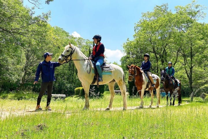 MIKIホーストレック