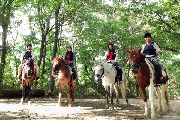 58d9baac-9727-42e2-8d41-  