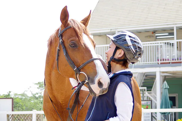 兵庫 乗馬 レクチャー約分 外乗約40分 森林散歩コース 馬とのふれあいクーポン付き アソビュー
