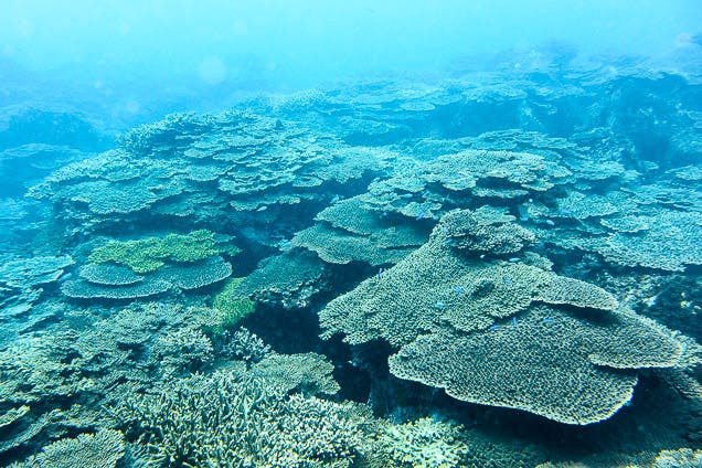 クラブノアすさみ｜ネット予約ならアソビュー！