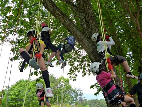 【やよい✱】ことりのおおきなあそびば 錦織公園 | 大阪府富田林市 大阪府営公園