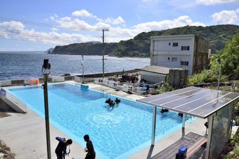 【伊豆稲取・ダイビング】安心のプライベートレッスン！最短2日のライセンス取得プラン