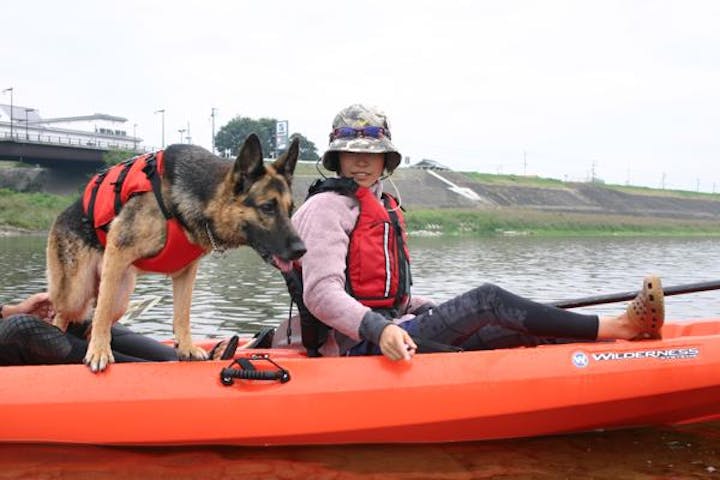 徳島 吉野川 ペット同伴 カヌー 愛犬とかけがえのない1日を過ごそう 犬連れカヌーツーリング アソビュー