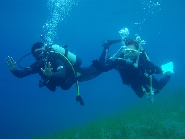 Ocean Days（オーシャンデイズ）