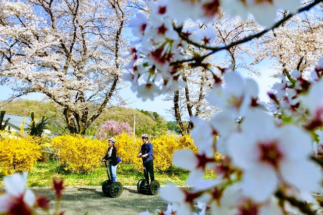 【埼玉・森林公園】広大な国営公園でセグウェイツアー！緑・花・自然・風を感じよう＜セグウェイガイドツアー150分＞【写真データ無料プレゼント付き】