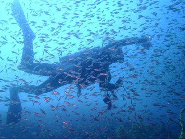 クリオネダイバーズの割引プラン