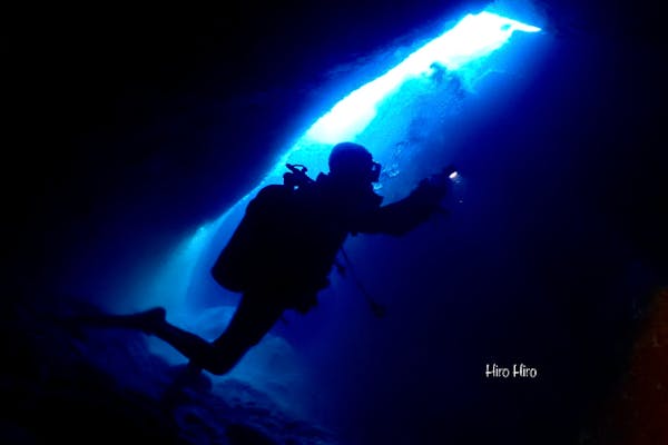 静岡・松崎・ファンダイビング】4ボートダイビング可！西伊豆・雲見