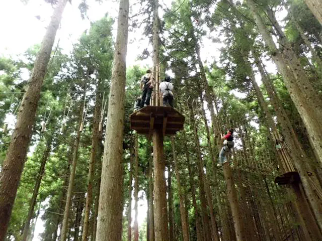 フォレストアドベンチャー 朝来 あさご ネット予約ならアソビュー