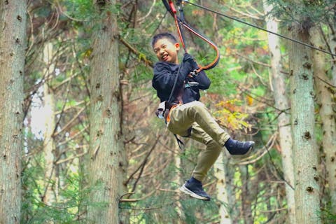 【兵庫・朝来・フォレストアドベンチャー】★200円割引★圧倒的な達成感！スリリングなアクティビティが体験できるアドベンチャーコース（180分）