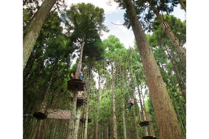 フォレストアドベンチャー 朝来 あさご ネット予約ならアソビュー