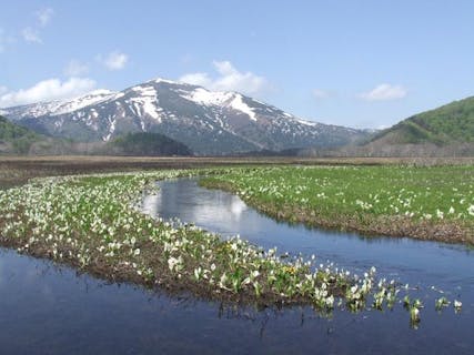 【1日・尾瀬】尾瀬認定ガイドがご案内♪季節の旬を感じるトレッキング★