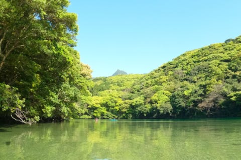 【屋久島・リバーカヤック・トレッキング】水遊び&森歩き！リバーカヤック＆白谷雲水峡トレッキングプラン（1日コース）