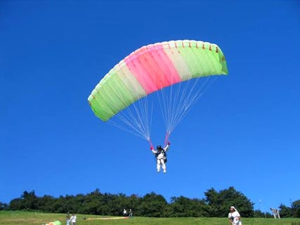 体験型観光農園ローザンベリー多和田 ネット予約ならアソビュー