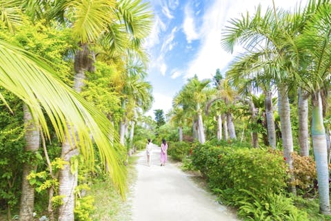 【沖縄・石垣島・エコツアー】＜石垣島出発＞2島を一日で満喫できる！西表島・由布島2島周遊コース（昼食付き）・S-yコース