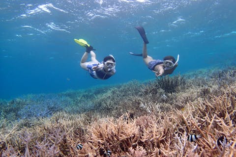 【石垣島・シュノーケリング・1日】極上のリゾート体験！パナリ島1日シュノーケリングツアー