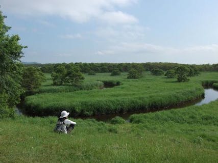 【北海道・釧路・カヌー】釧路川カヌー＆秘境トレッキング！釧路湿原満喫プラン！★写真プレゼント