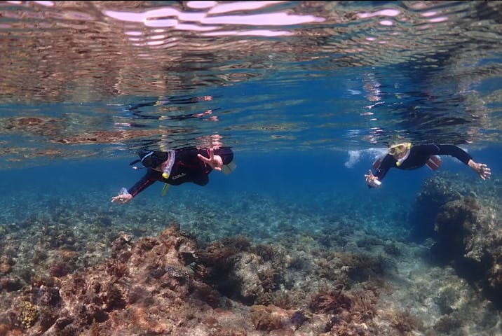 屋久島ダイビングガイド夢心地