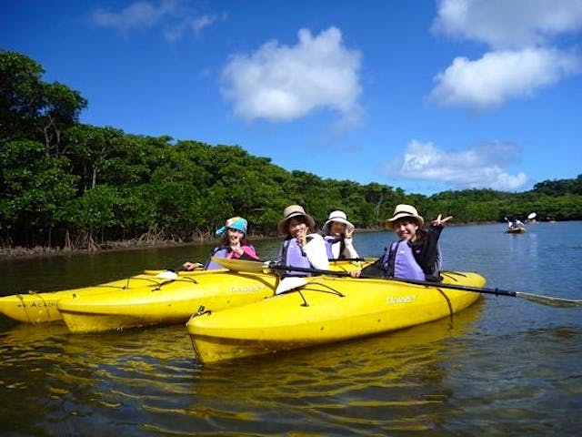 西表島カヌーツアー 風車