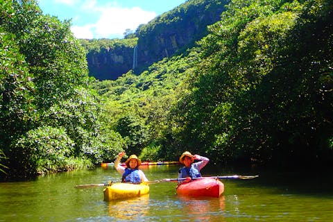 【西表島・マングローブカヌー】トレッキングなしのライトなコース！マングローブカヌー体験（9:00集合）
