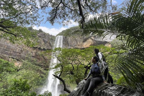 【西表島・マングローブカヌー】【半日コース】憧れの「ピナイサーラの滝」を訪ねるマングローブカヌー＆ジャングルトレッキング《おやつ付》★写真プレゼント